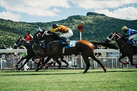 Optimiser les performances du cheval en compétition
