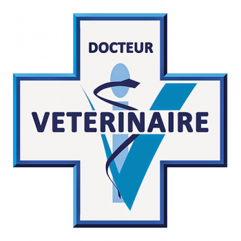 Christophe DALICHAMPT