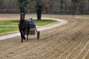 Notre visite chez Richard Westerink