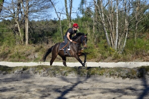 Témoignage d'Antoine de Watrigant